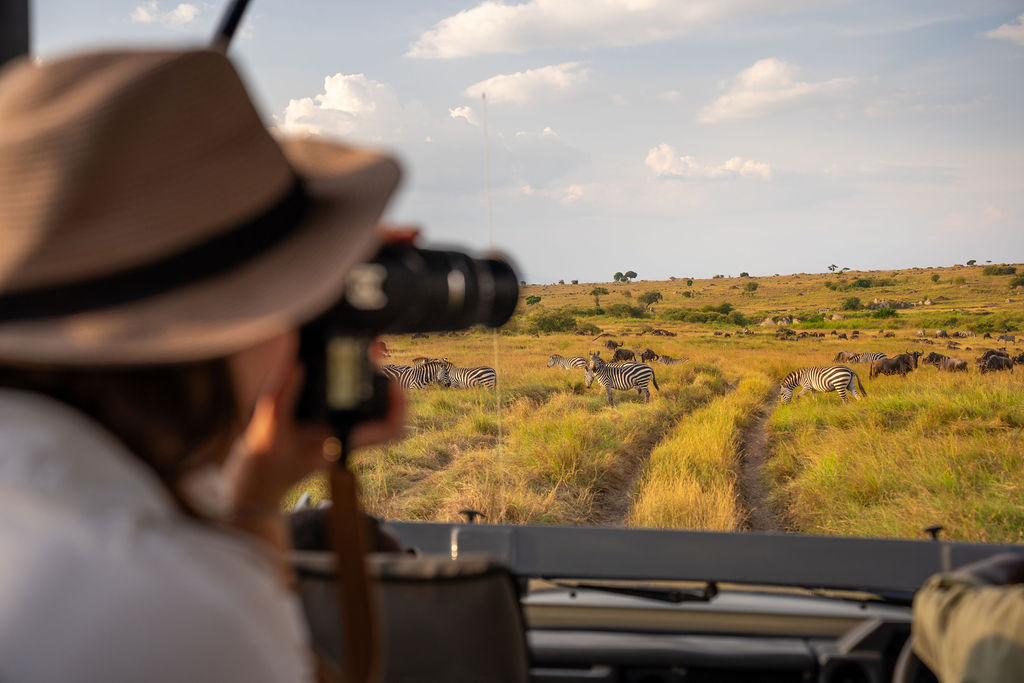Wildlife safari experience