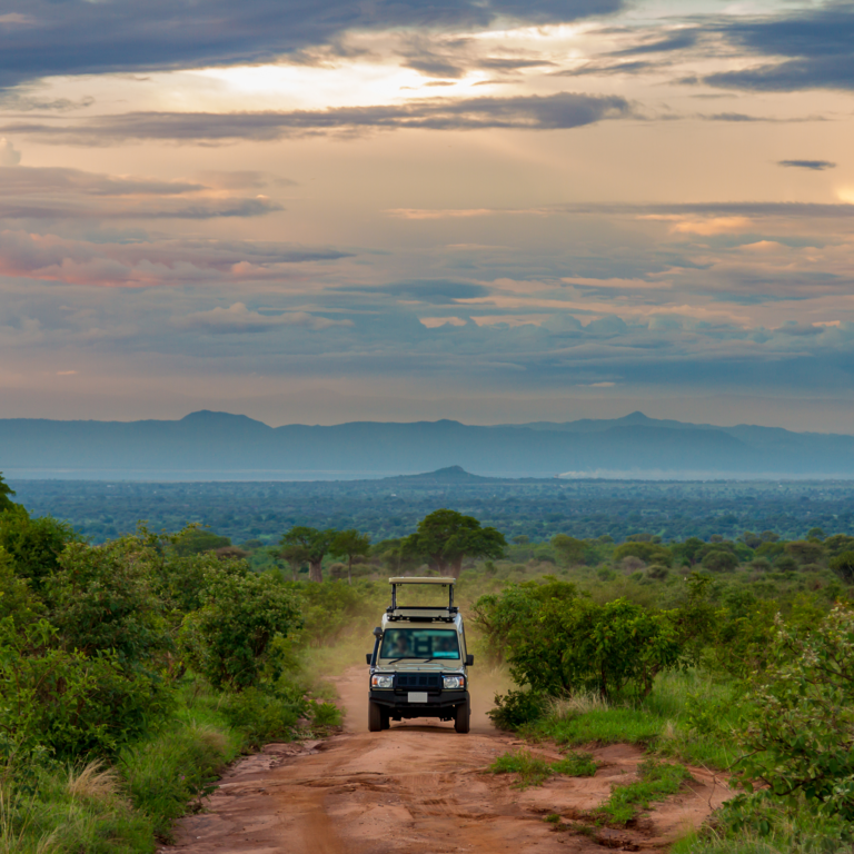 Game Drives