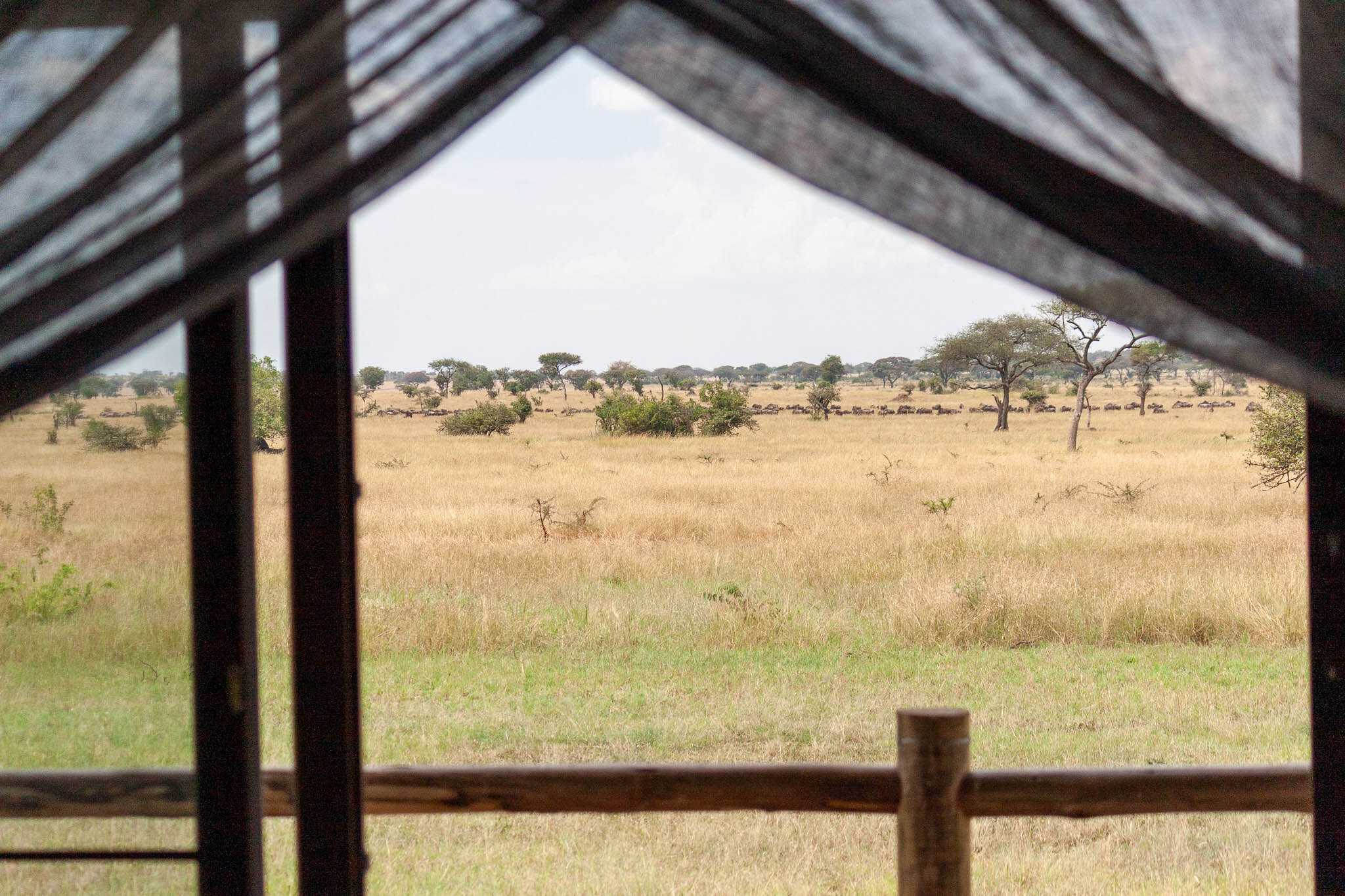 Luxury Safari Tent