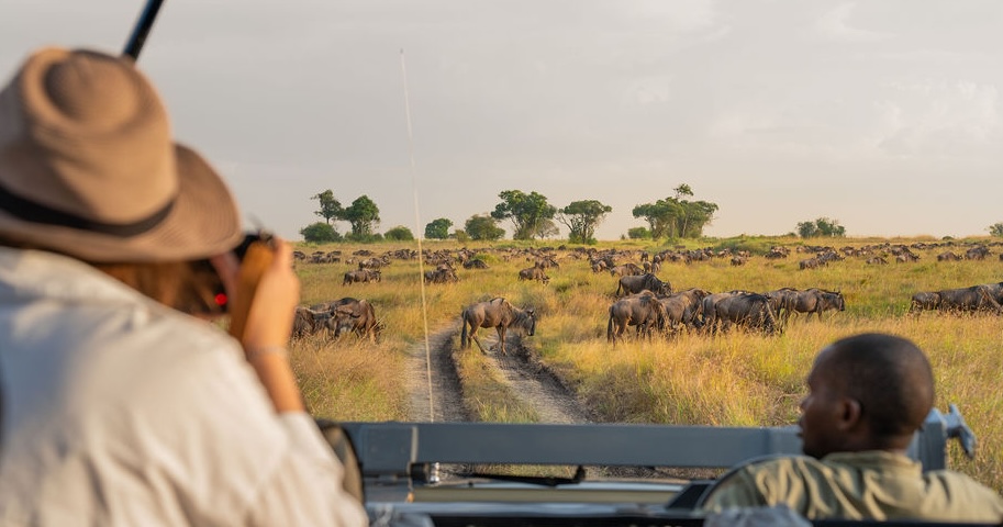 African savanna at sunset